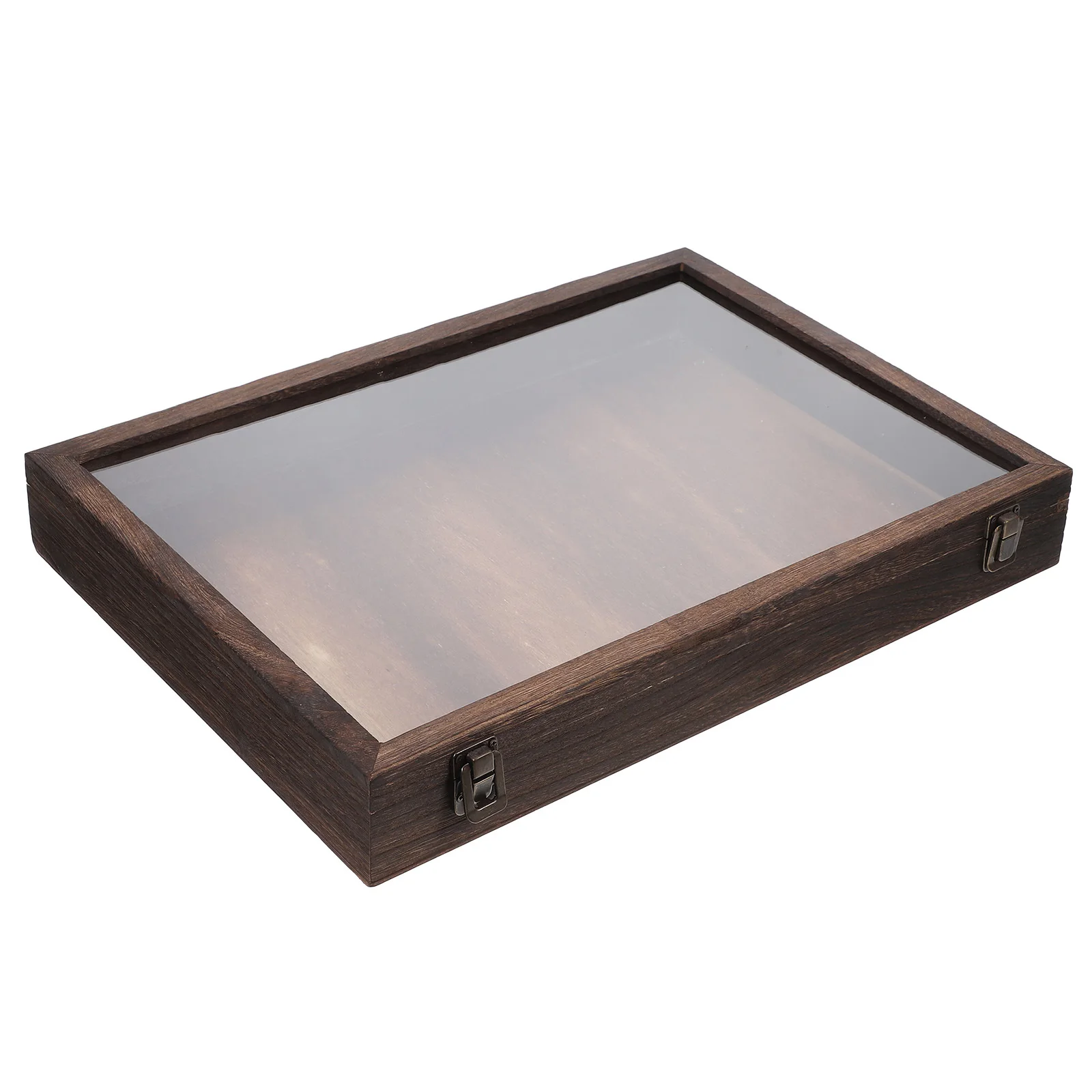 

Wooden Specimen Display Box Dried Flower Butterflies Case Sturdy Transparent Cover Large Capacity Home Office Decor