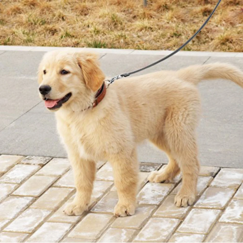 

Dog Leash Black Durable Long Telescopic Traction Rope Pet Training Lead Retractable Belt For Dogs Puppy Cat Automatic Extension