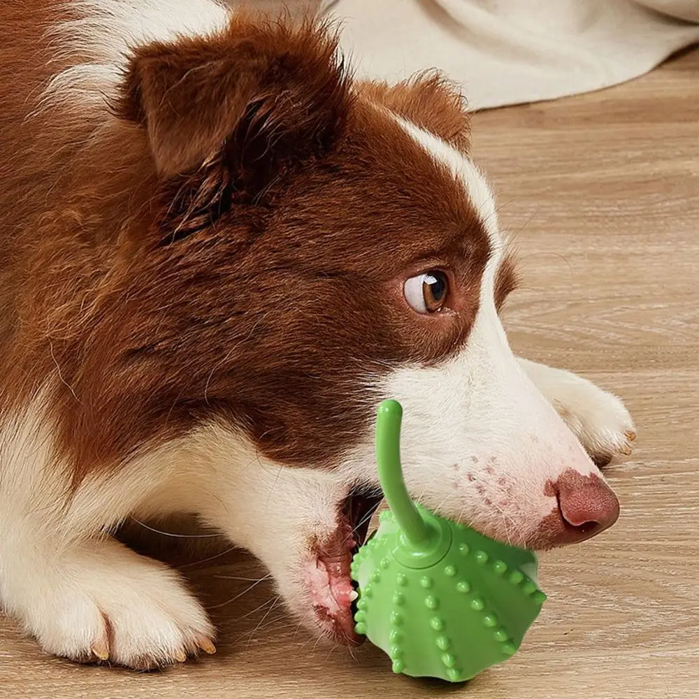 

Lotus Pod Dog Leakage Food Toys Bite-resistant Interactive Dog Teeth Grinding Toys Funny Puppy Slow Food Toy Self Pleasure