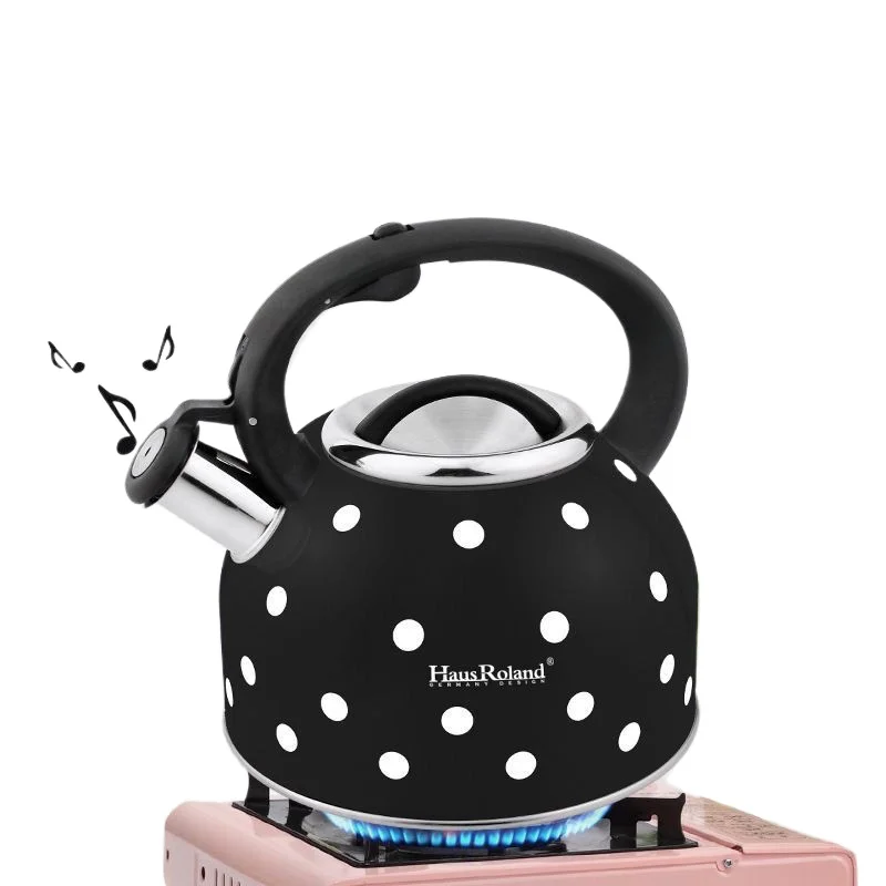 304 Stainless Steel Thickened Horn Large Capacity Gas Kettle Domestic Kettle Gas Stove Induction Cooker - view 6