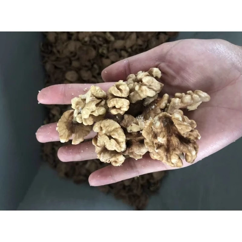High Efficiency Customized Walnut Processing Line Cracking Shelling Separating Grading Machine Stainless Steel Factory Price