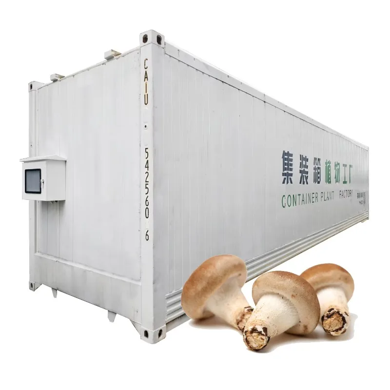 

20/40 Foot Mushroom Growing Container With Climate Control System and Shelves Mushroom Growing Container