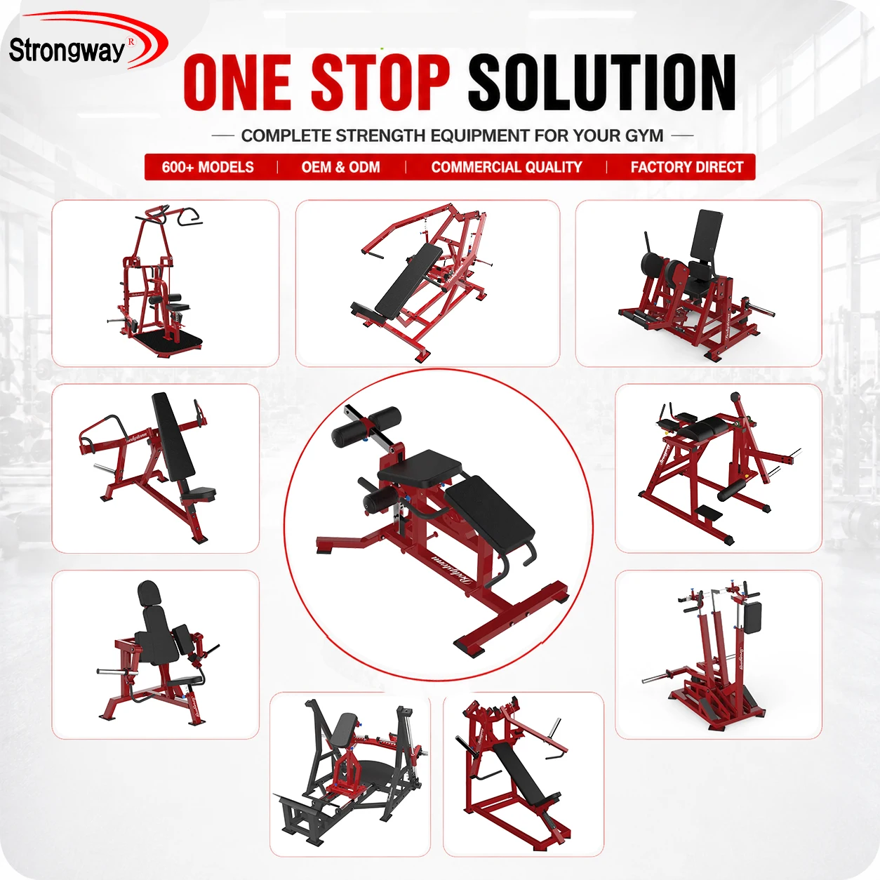 Fitness Equipment Plate Loaded Machine Leg Extension Prone Curl Combo Gym Equipment