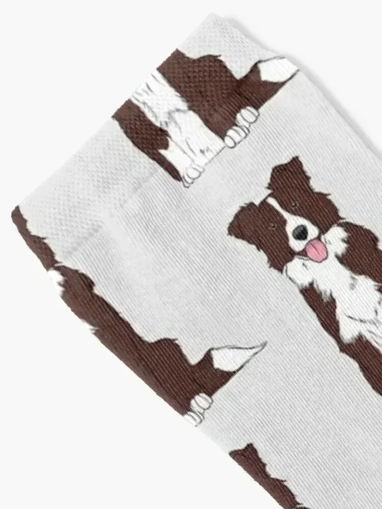 Brown and White Border Collie Socks Heating sock loose Children's heated Socks Women's Men's