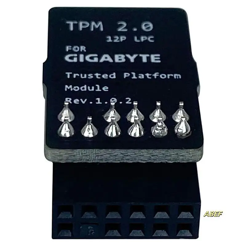 3X TPM2.0 Modul LPC 12Pin Modul mit Infineon SLB9665 Windows 11 Upgrade für Gigabyte Motherboard für GC-TPM2.0 S