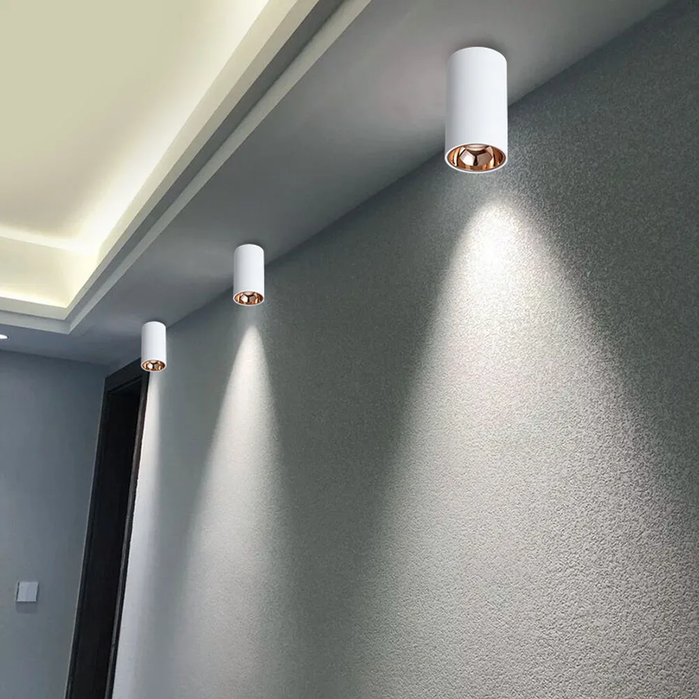 5W Cylinder Livingroom Kitchen Bedroom Foyer Offcer Rose Gold Dimmable LED Ceiling Lights Led Ceiling Spot Light