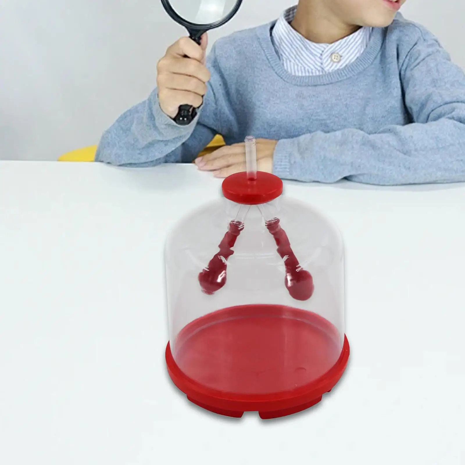 Lung Function Demonstration Model Classroom Teaching Aid Plastic Lung Model Toy for Students Biology Science Education Learning