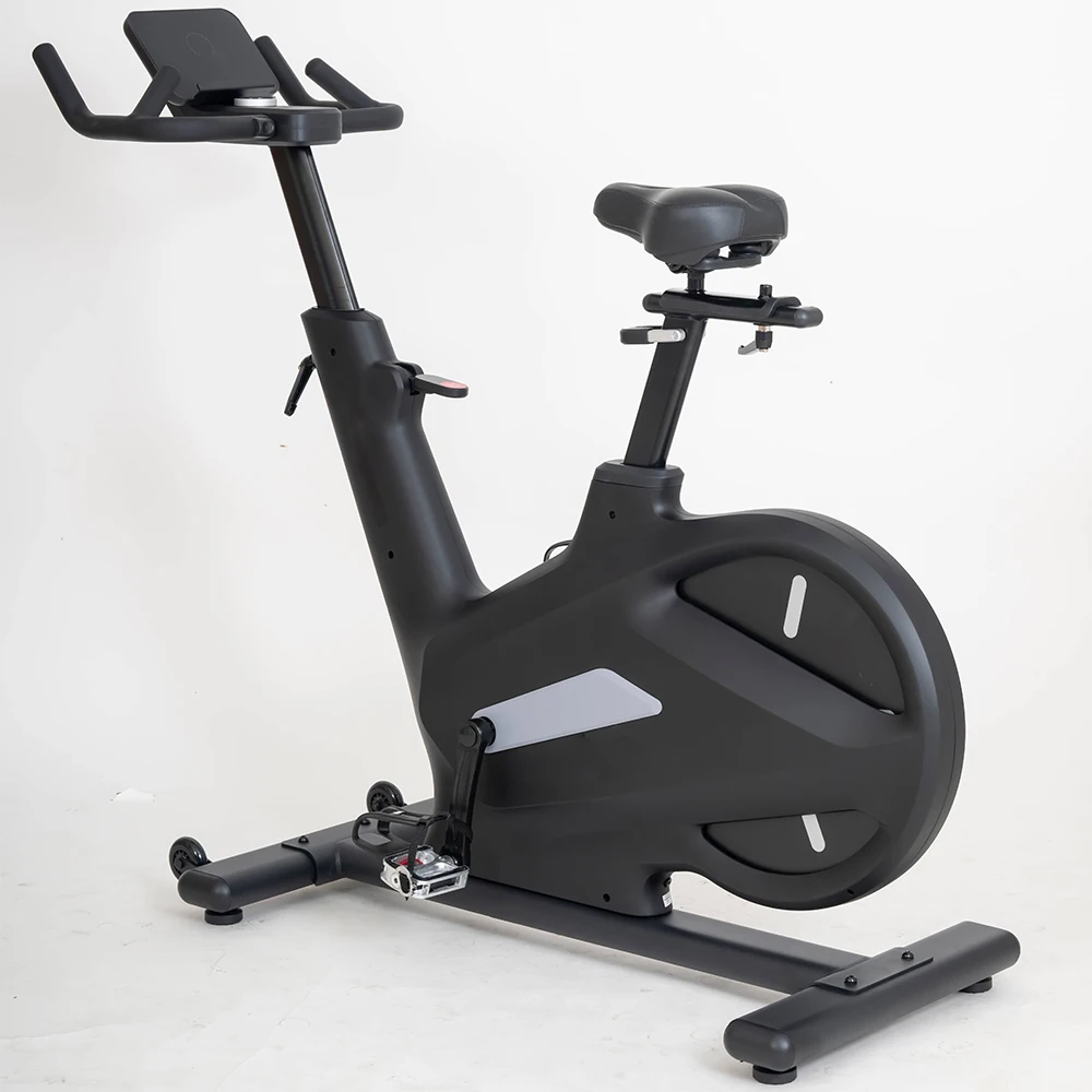 Commercial Professional Indoor Cycling Bike Gym Flywheel for Spinning Magnetic Exercise Cardio Steel Material