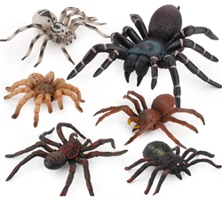 Simulation Animals Insect Solid Model Spider Tarantula Black Spider Halloween Scary Action Figures Educational Toys For Kids