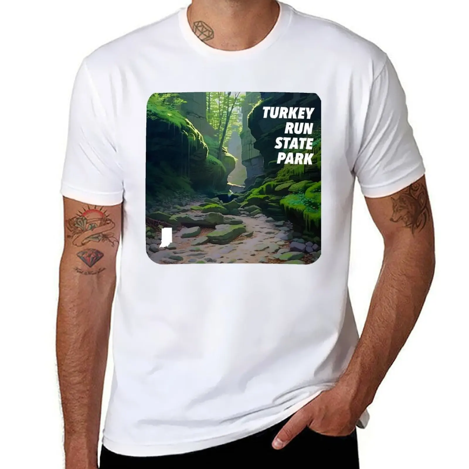 

Turkey Run State Park T-Shirt essential t shirt anime tshirt T-Shirt