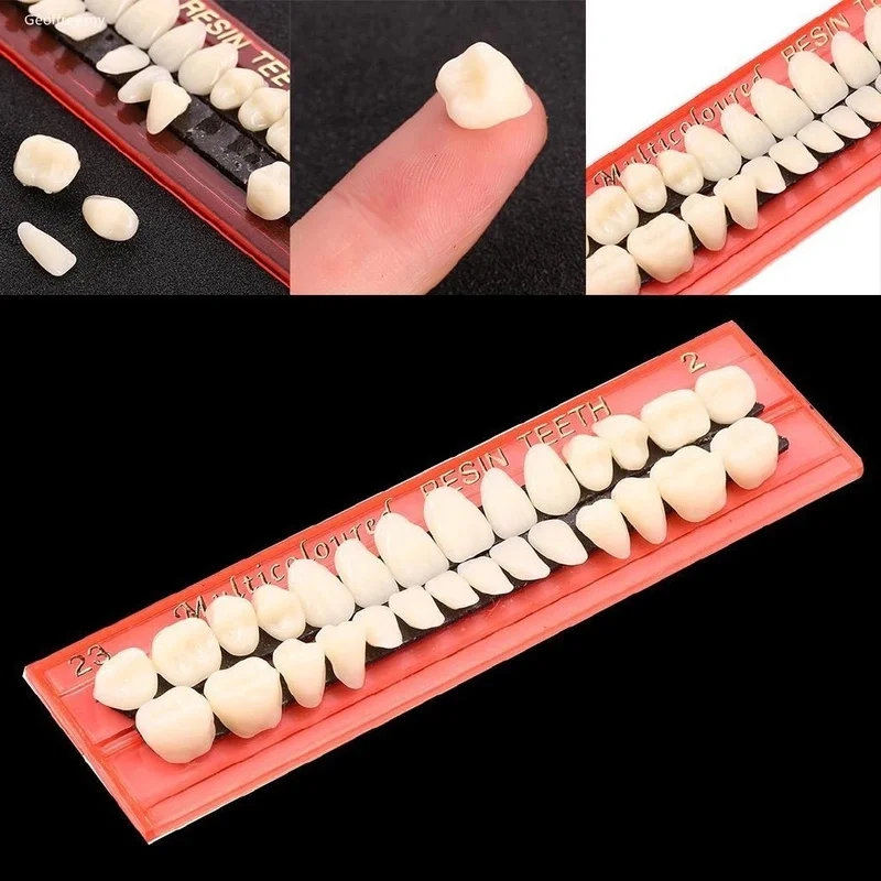 28pcs Be Acrylic Resin Denture Teeth Upper Lower Shade Dentures Dental Materials