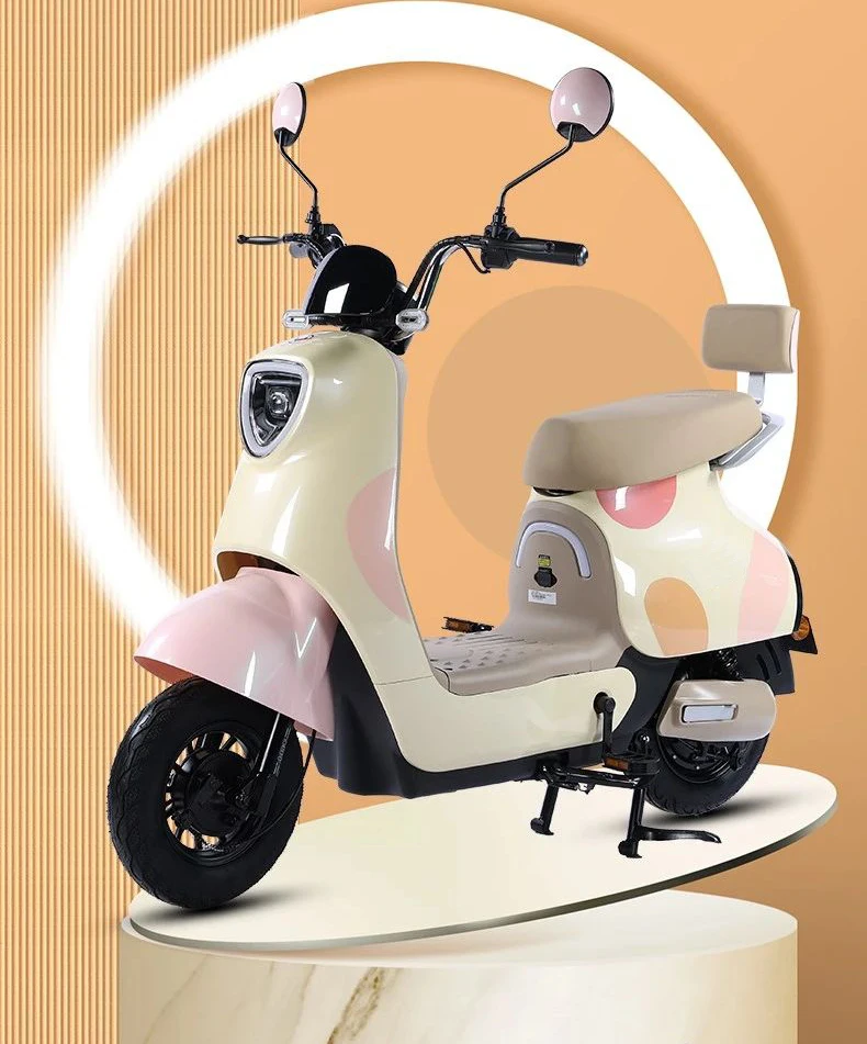 

Factory Price Wholesale 2024 New Fashion Style Electric Bike Lovely Ebike 600W 48V20AH City Ebike for Adult