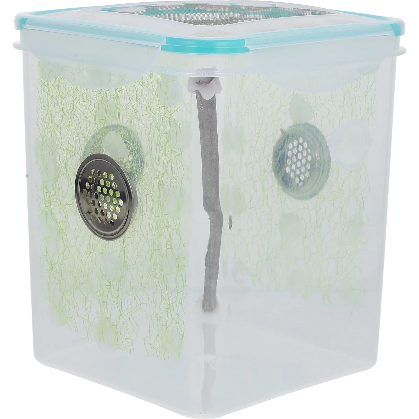 

Mantis Box Clear Plastic Wood Breeding Container For Spider Cricket Snail Reptile Habitat Transparent Terrarium Feeding