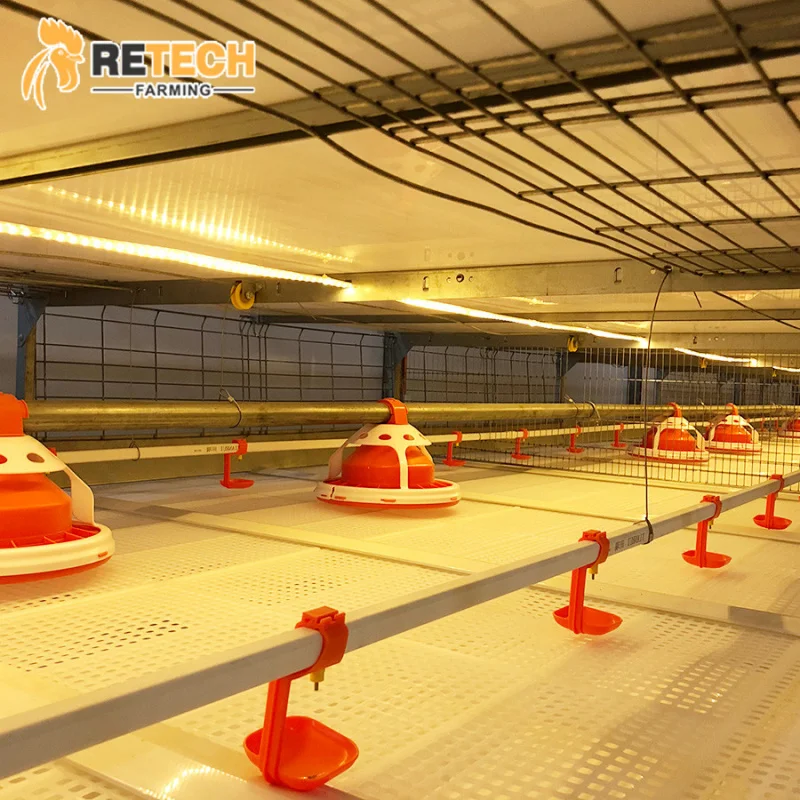 Gaiola automática para frango de grelhar para equipamentos agrícolas de aves