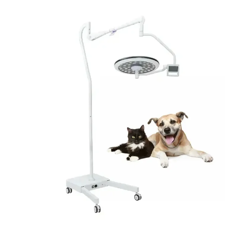 

Veterinary Clinic Mobile Shadowless Operation Surgical Lamp Ot Light Led Surgical Lamp For Vet