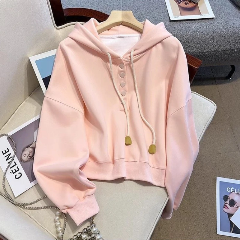 

Y2K Harajuku style sweetheart hot girl plush hooded sweatshirt autumn/winter American style with thick plush loose women's top