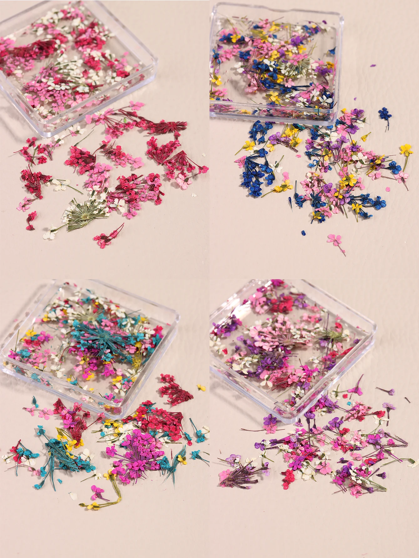 Gemischte Bunte Natürliche Blumen Nagelkunst-Charms Klein-Blau Gelb Rot Fünfblättrige Blume Natürliche Florale Maniküre-Accessoires – Detail 10
