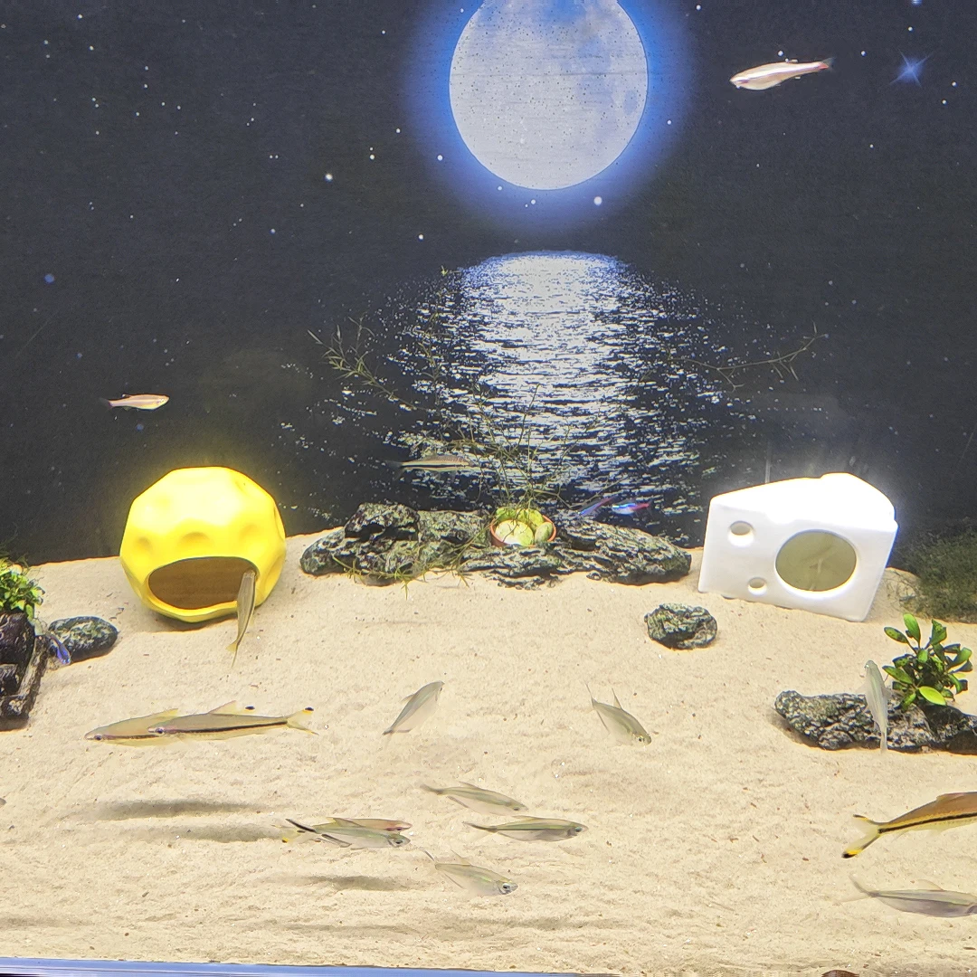 Decoración de Resina para Acuario, Cueva Escondite con Diseño de Queso y Cráter Lunar, Refugio para Peces Pequeños, Betta y Camarones