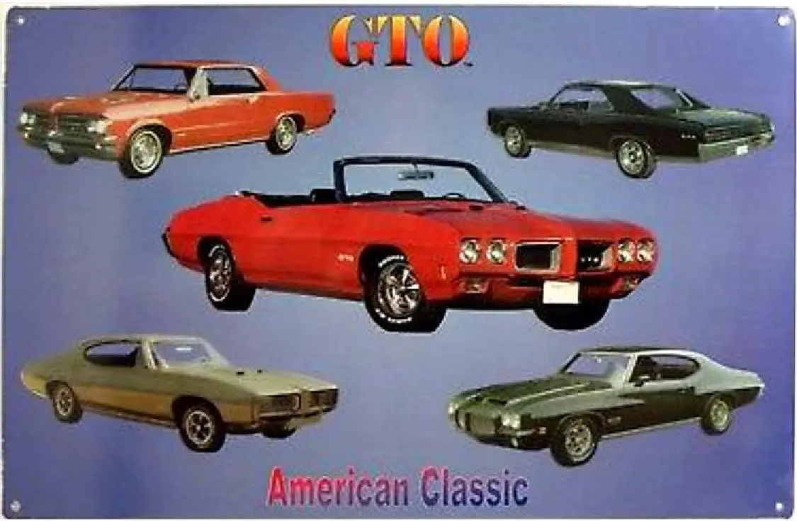 Signs 4 Fun SIGM462…