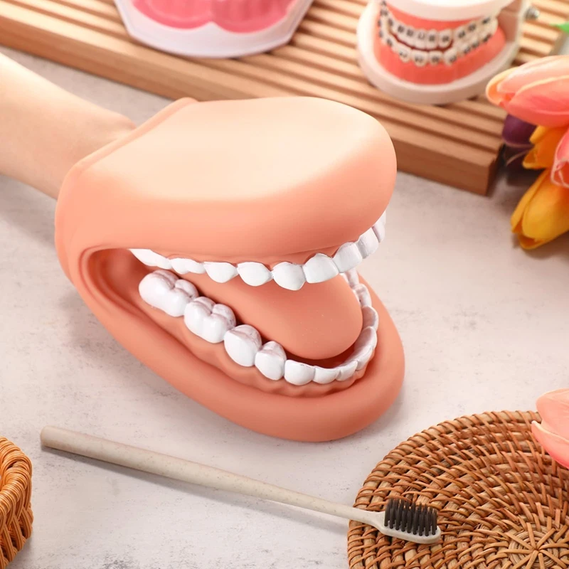 1Pcs Mouth Puppet With Tongue Teeth Mouth Hand Puppet  Mouth Model With Toothbrush For Boy Girl Educational Tool