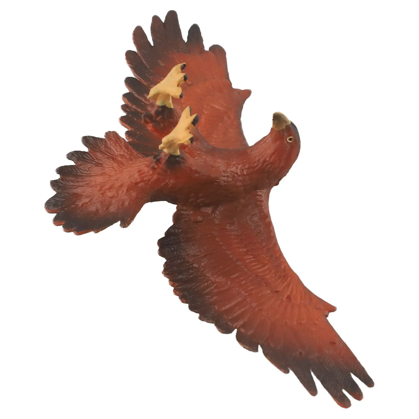 Animal Knowledge Artificial for eagle Model for educational for eagle Model Long-lasting Realistic Shape Tear-resistant Vivid