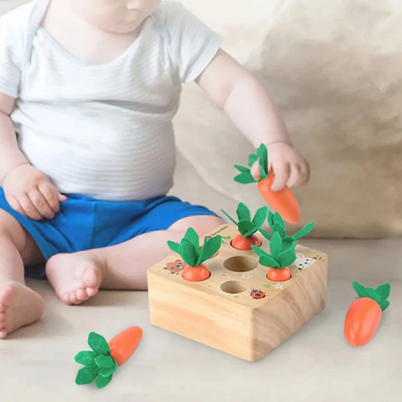 Assortimento di forme in legno Montessori Carote Giocattoli coordinati Educazione precoce del bambino Gioco di puzzle di palcoscenico Giocattoli di attività sensoriali per motori fini