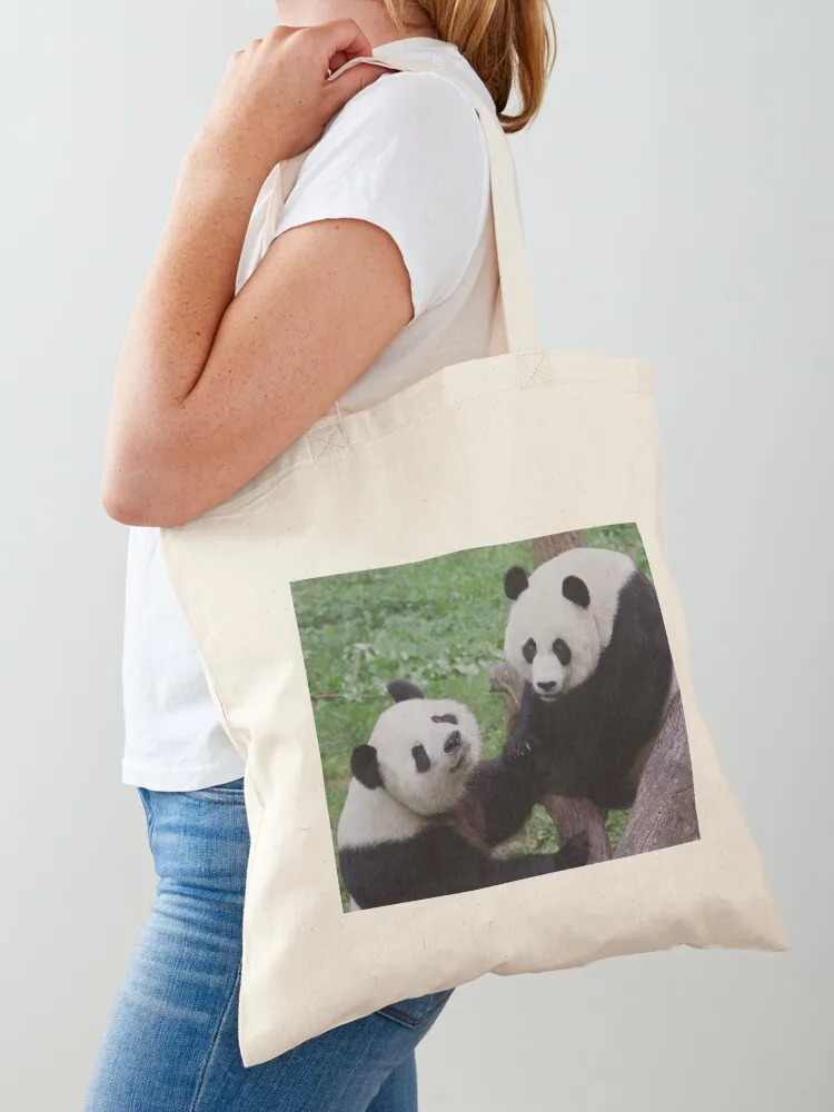 Giant Pandas Tian T… - image