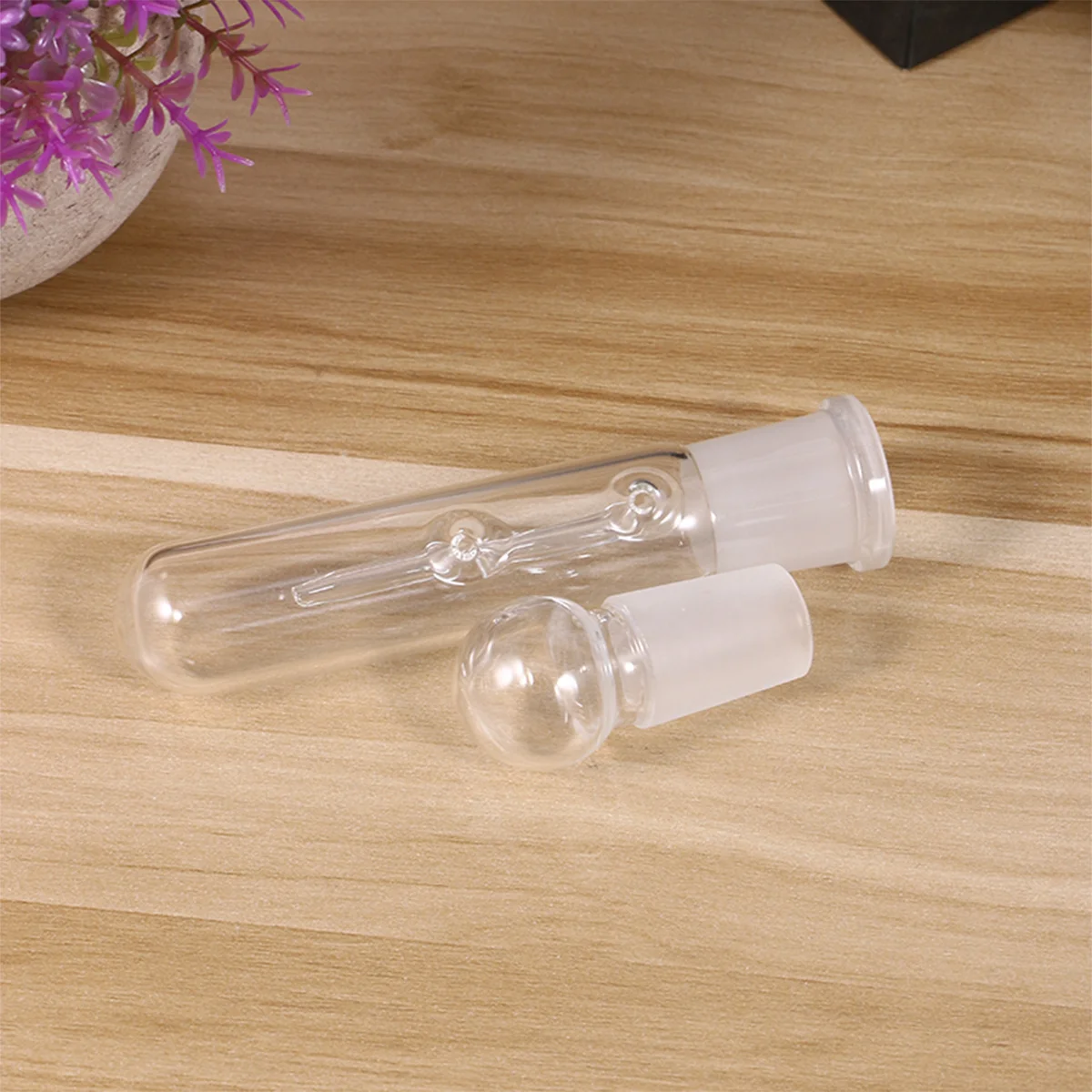 

Aquarium Glass Turbellarian Catcher 2 Hole Clear Glass Fish Tank Accessory Trap for Safe Fish Environment