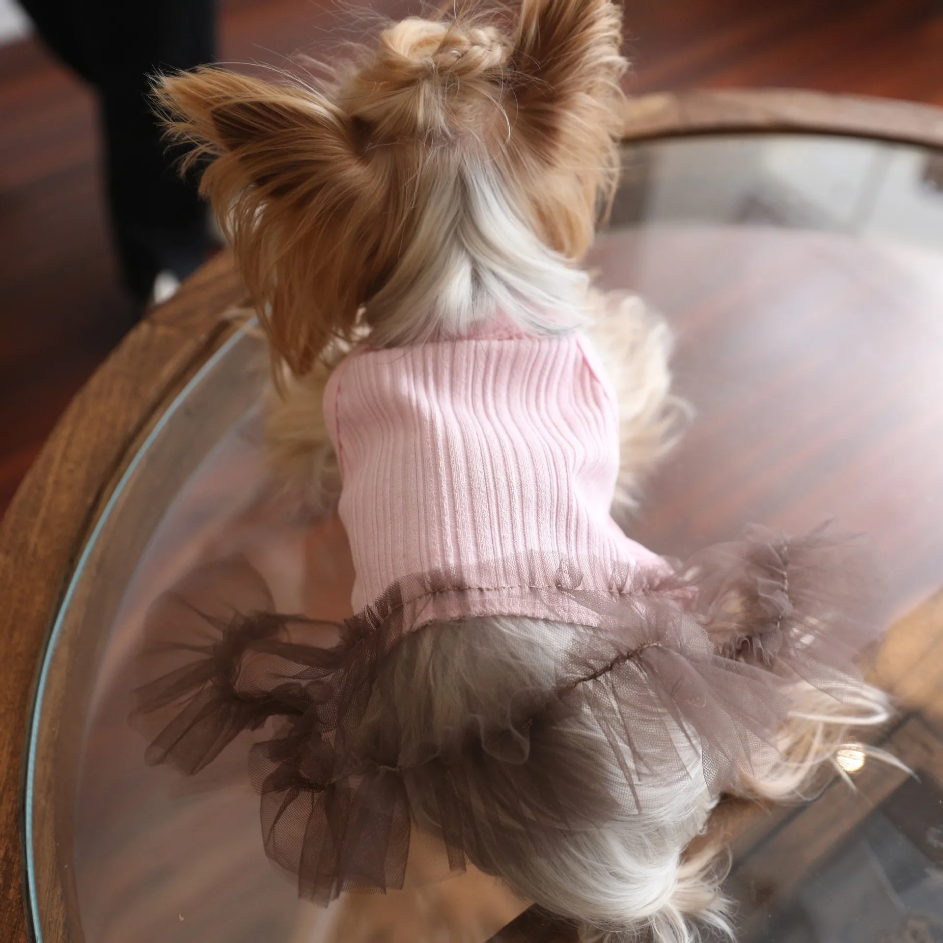 Chaleco de malla rosa para gatos y perros – Falda y ropa Yorkshire - imagen 2