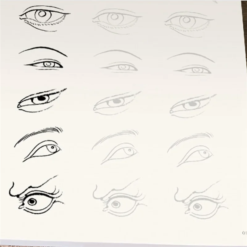 AF90-4 pezzi/set Introduzione alla pittura cinese e libro da disegno bianco per la introduzione di paesaggi animali floreali ai principianti