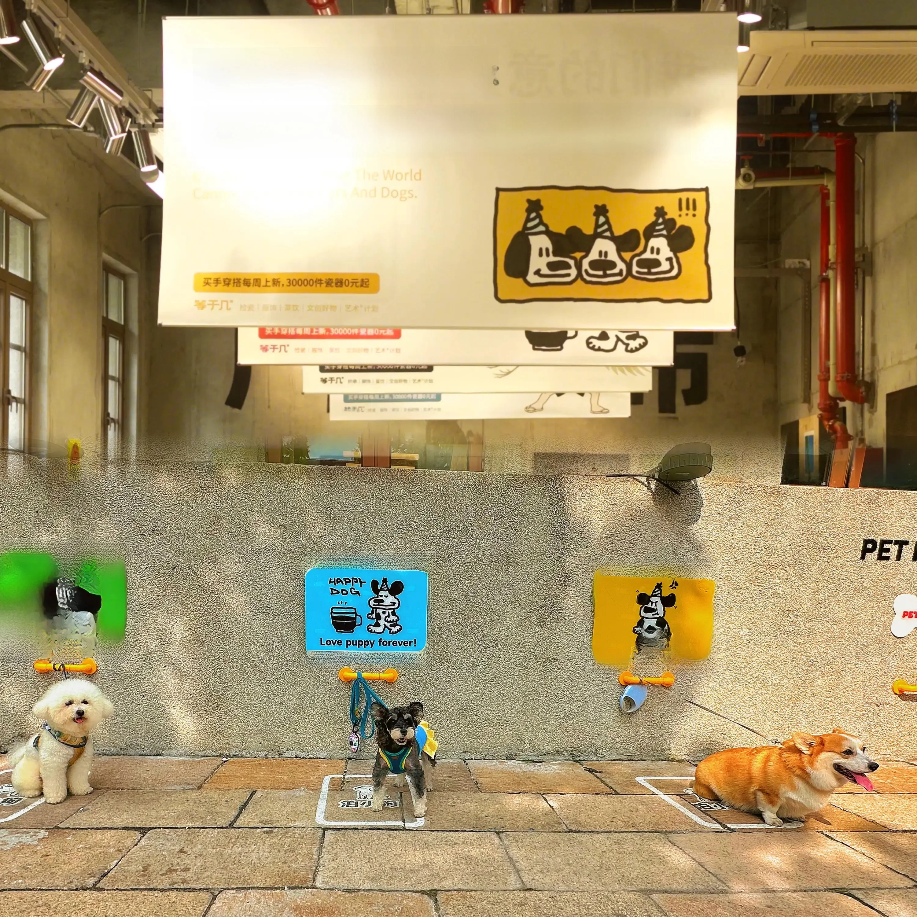 gancho-fijo-para-perros-barra-de-sujecion-para-mascotas-para-puerta-delantera-de-tienda-correa-universal-para-perros-equipo-de-entrenamiento-para-uso-en-interiores-y-exteriores
