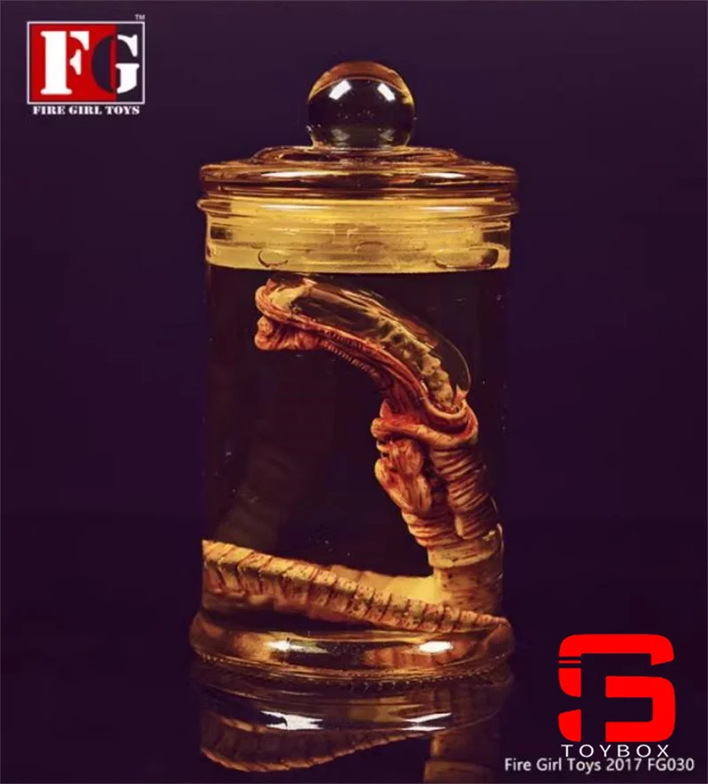 In Stock Fire Girl Toys 1/6 Alien Chestburster Facehugger Model With Canister Scene Props Fit 12'' Action Figure Body