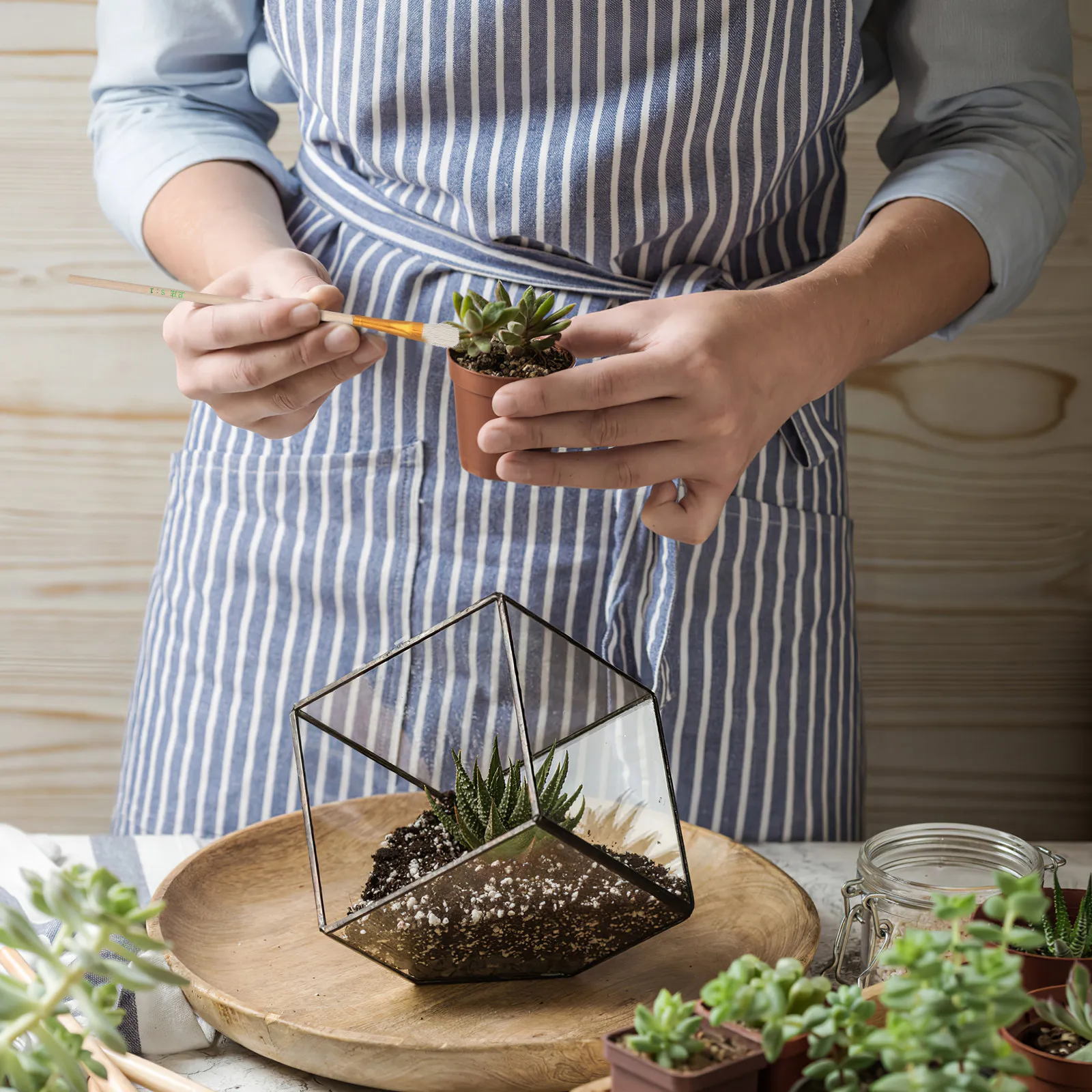 

Набор из 8 ручных инструментов для опыления растений: кисточки для опыления, инструменты для опыления пчелами, для сада и фруктовых деревьев