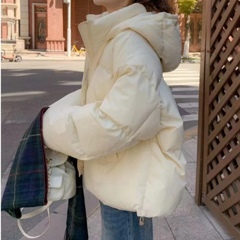 Small Cotton Jacket Women's Winter 2024 New Korean Design Down Padded Jacket Short Padded Jacket