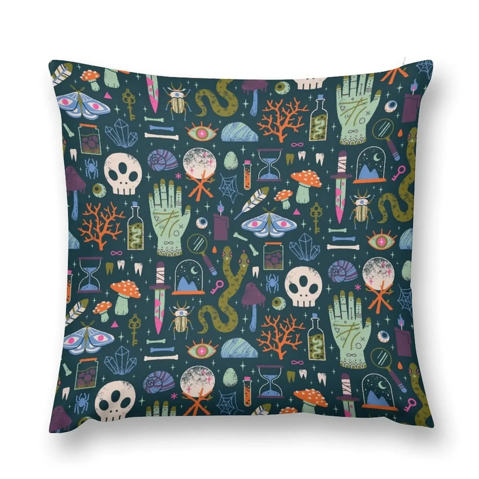 Curiosities Throw Pillow Pillow Cover Decorative Sofa Cushion pillow