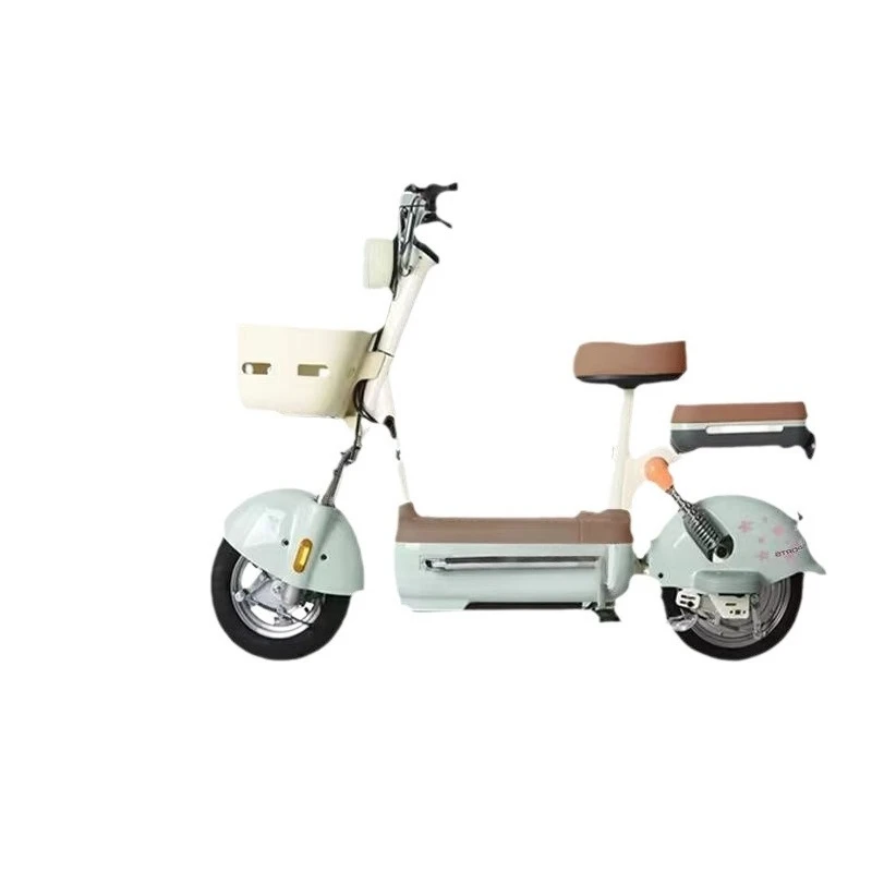 

Long electric bicycle new battery car women's battery life universe yuan