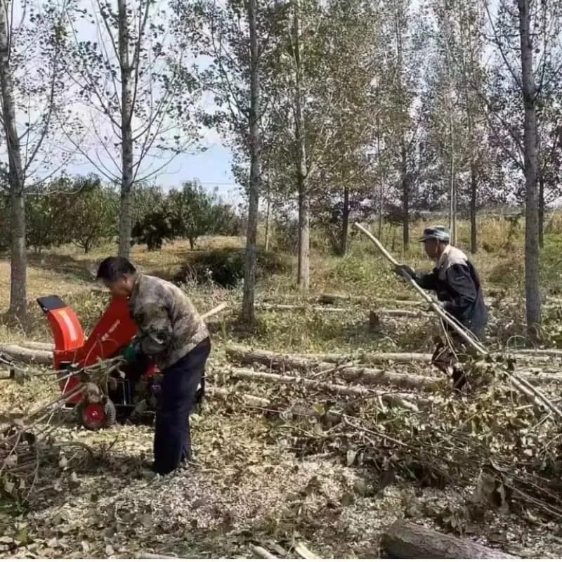 Wood Shredder Mini Chipper Shredder Tree Chipper Branch Industrial Wood Wood Crusher Shredder - view 3