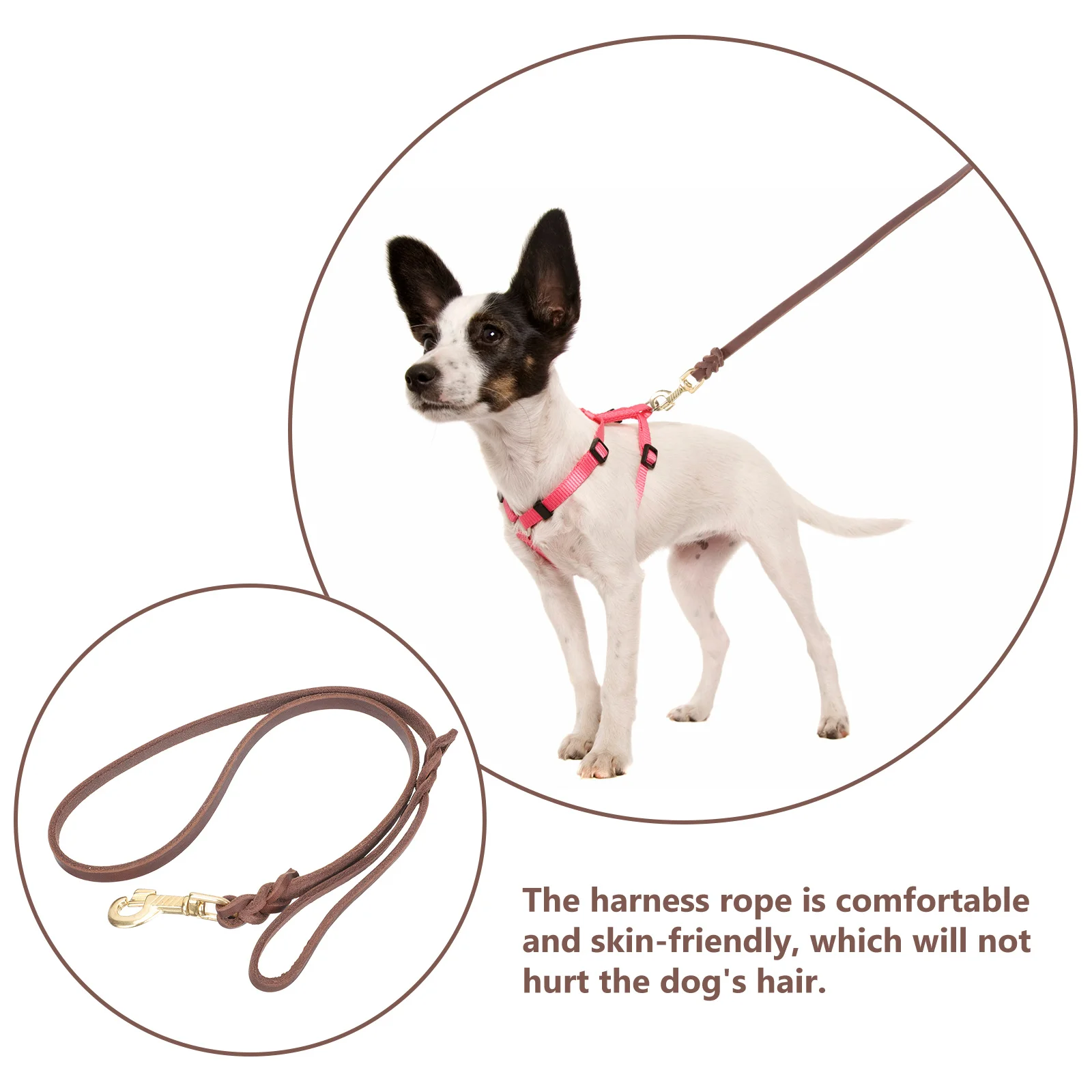 

Wear-Resistant Dog Leash Durable Traction Rope for Large Dogs Outdoor Walking Practical Puppy Training Portable Pet
