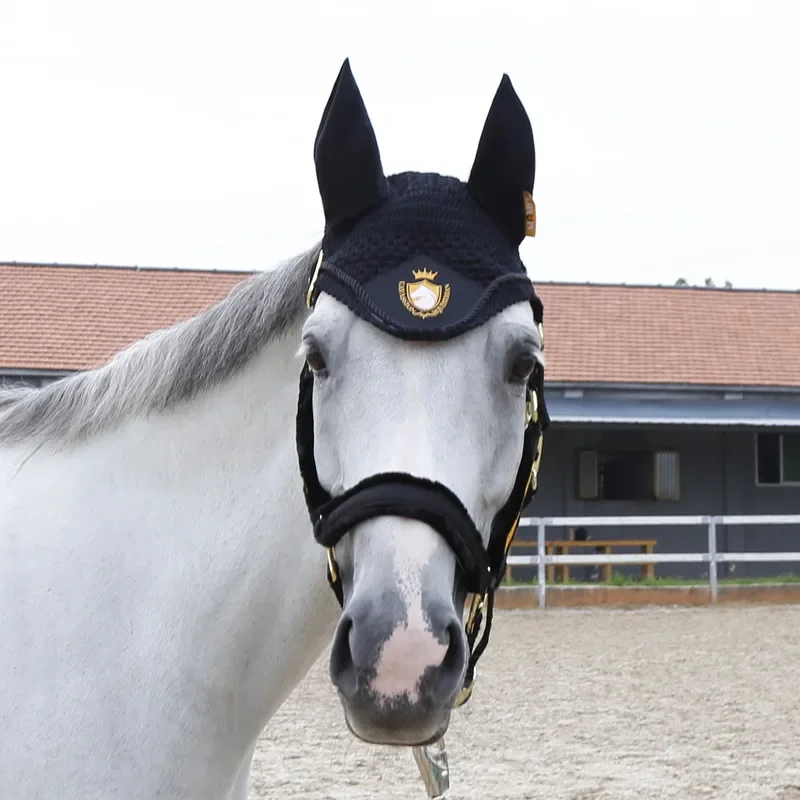 Attrezzatura equestre della copertura della gabbia del cavallo della cavezza resistente all'usura