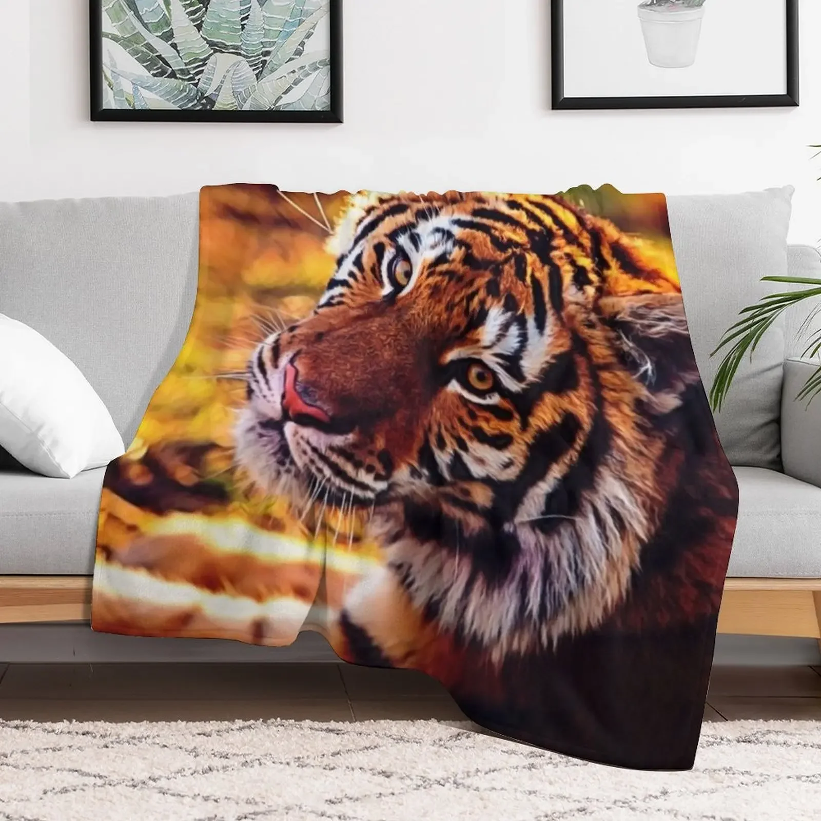 Beautiful Tiger Throw Blanket Thermal Hairy wednesday Blankets