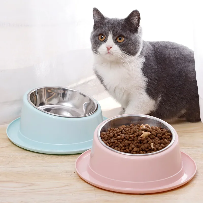 Cat Feeder Slope Anti-Ant Food Bowls for Cat Pet Accessories Dog Bowl Quality Stainless Steel Container for Cats Kitten Supplies