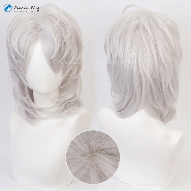 

Anime Ayaki Rui SpiderCosplay Wig Short Silver Cosplay Wig Heat Resistant Synthetic Hair Halloween Party Wigs + Free Wig Cap