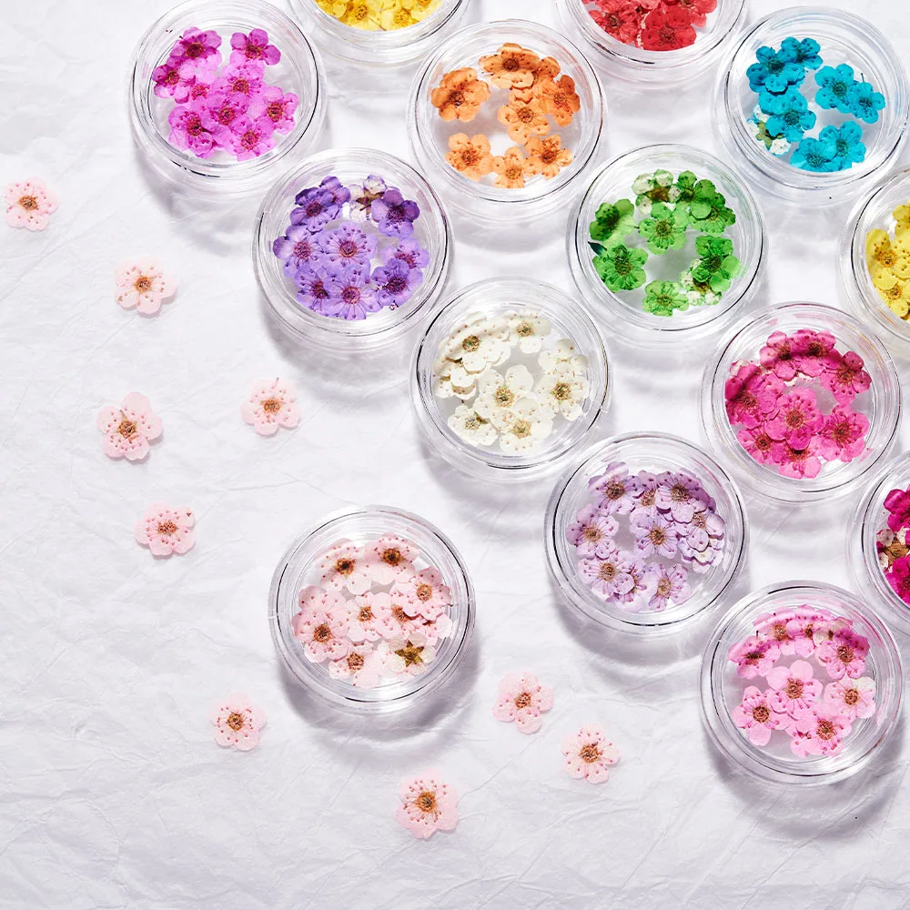 1 صندوق ثلاثية الأبعاد زهرة جافة مسمار الفن زينة الزهور المجففة الحقيقية ملصقات الأظافر الطبيعية الأزهار السحر تصاميم DIY بها بنفسك مانيكير اكسسوارات