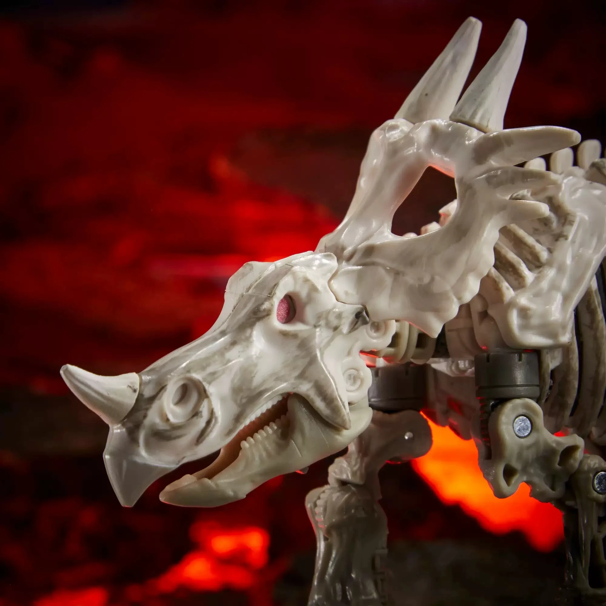 Original Hasbro Transformers Ractonite สงครามอาณาจักรสําหรับ Cybertron Deluxe อะนิเมะ Action Figure หุ่นยนต์ของเล่นรุ่น Hobby