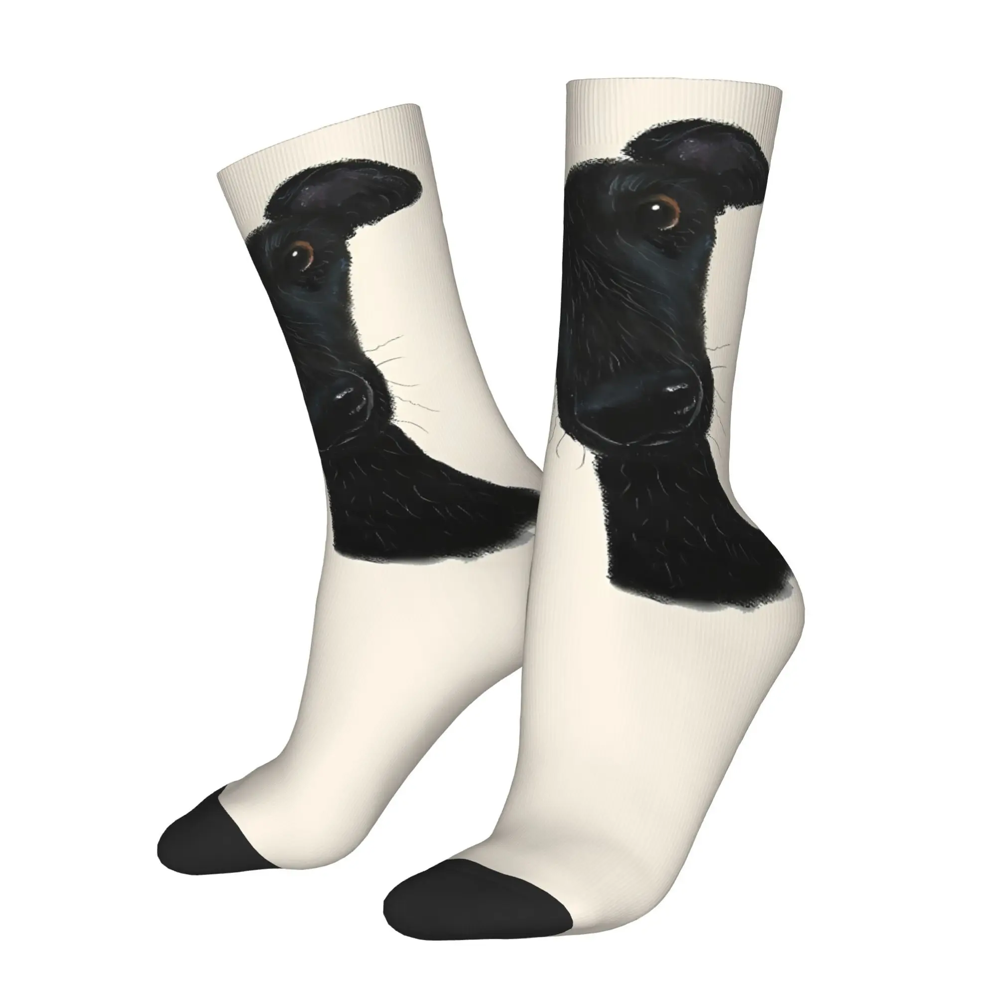 

Dog Sock Printed Man Polyester