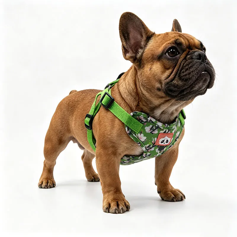 Peitoral para cão com flores, ajustável e respirável_voghion.com