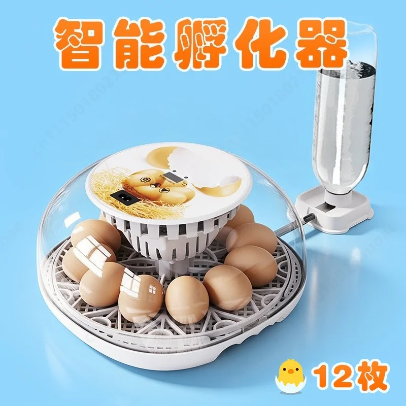 Small Automatic Egg Incubator, Intelligent Temperature Control Hatcher with Auto Turner, Household Poultry Egg Hatching Machine