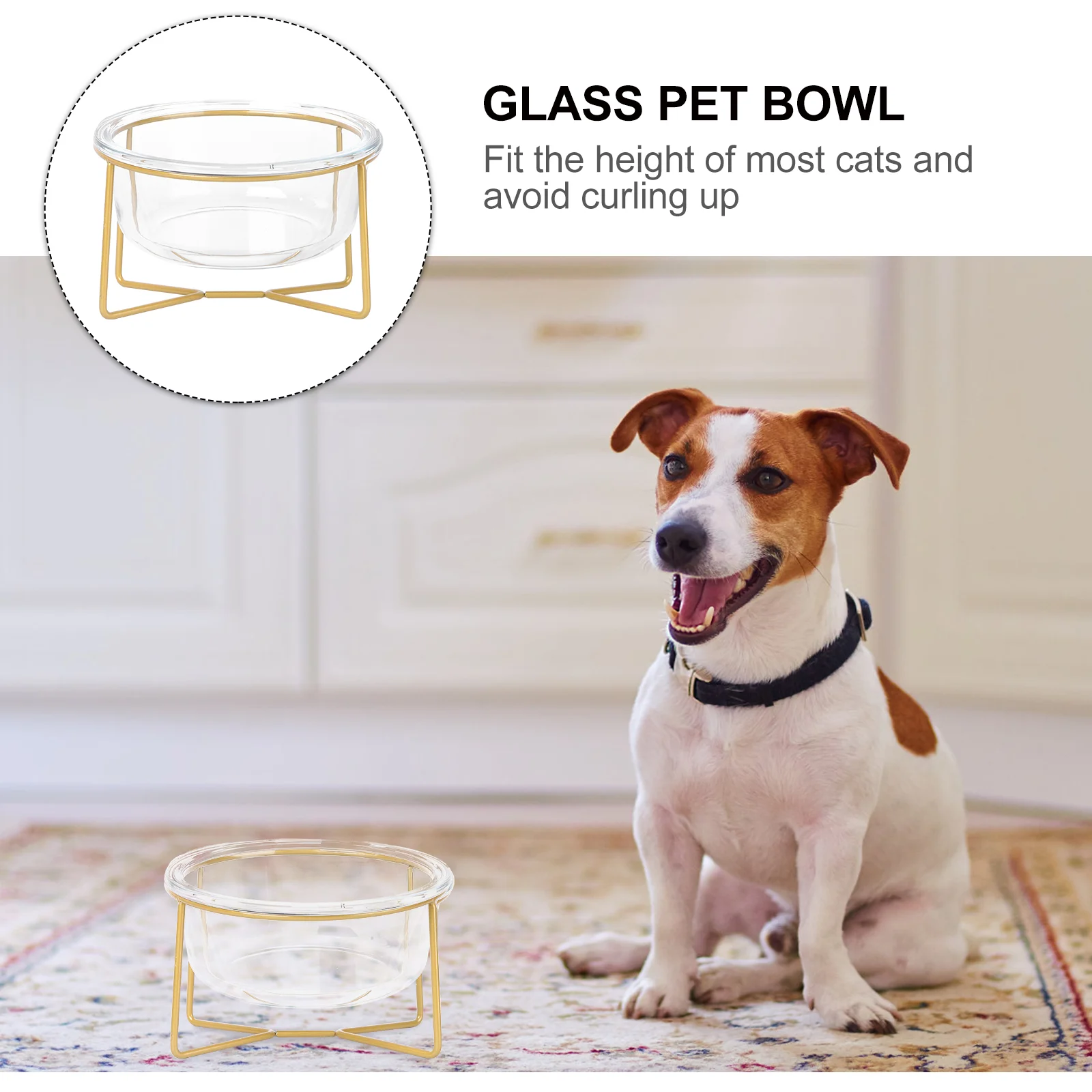 1pc Glass Bowl Pet Feeder Dog Cat Food Feeding Basin High Base Feeding Bowl cat bowl cat dog feeder bowl