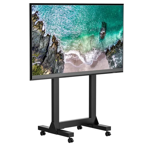 하이 퀄리티 카트 TV 스탠드, 탈착식 LCD TV 스탠드, 냉간 압연 스틸 모니터 포함, 65-100 