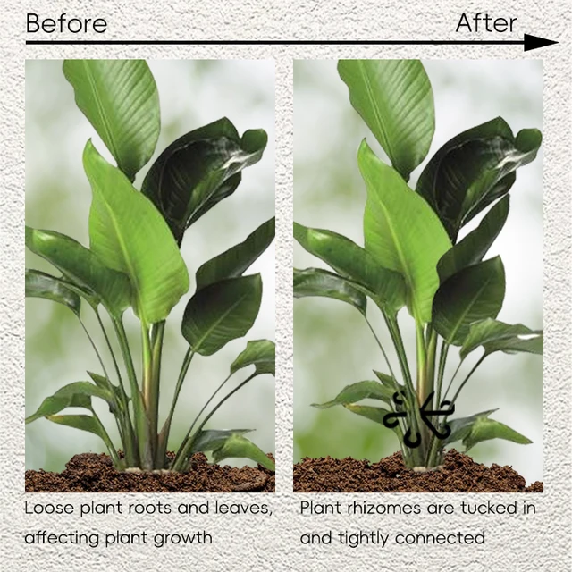 4PCS Reusable Plant Stem Folding Frame Garden Tools 2